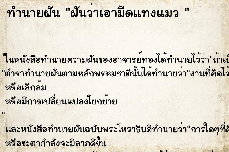 ทำนายฝันทำนายฝันฝันว่าเอามีดแทงแมว